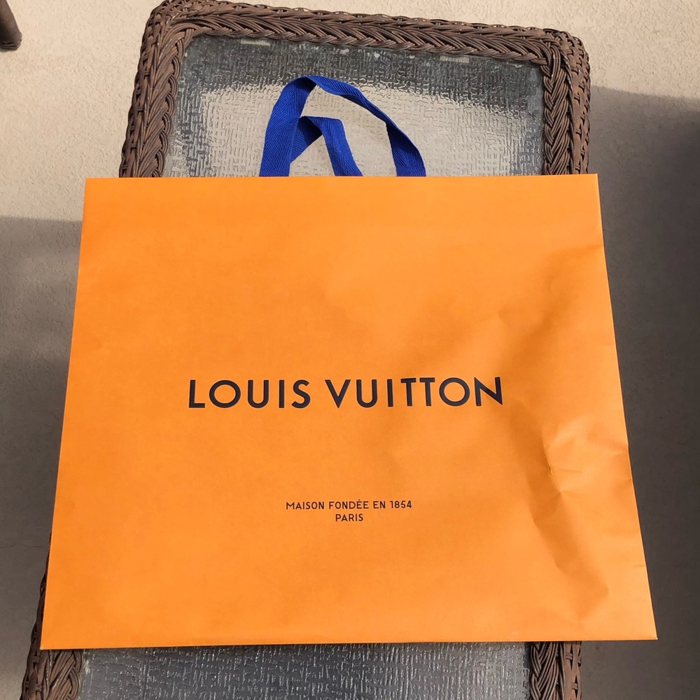 Large Louis Vuitton Bag 20x18